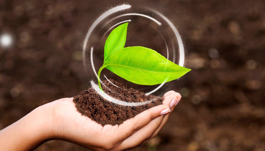 Agribusiness Management, Finance and Marketing