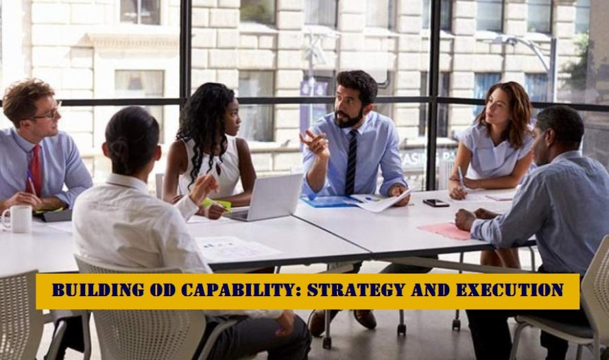 Building Organisational Development Capability: Strategy and Execution