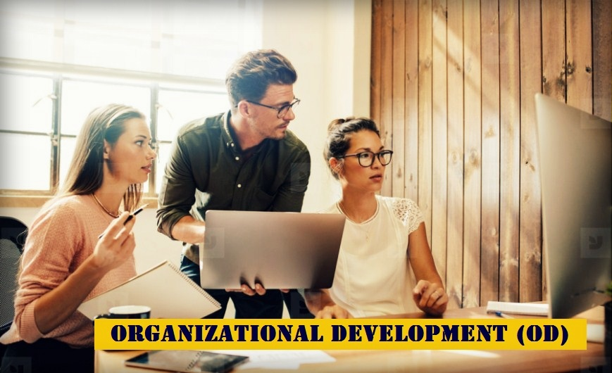 Organisational Development Masterclass