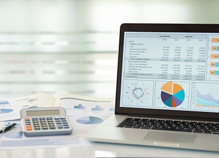 Accounting Professional