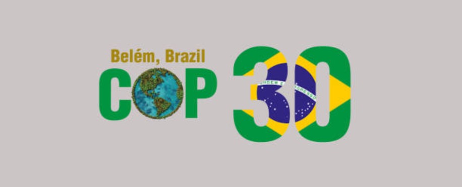 More than 300 Big Agricultural Lobbyists Took Part in Cop30, an Analysis Found