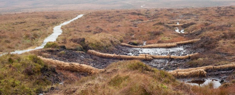 Mapping Indicates that 80% of England's Peatlands are Dry and Degraded