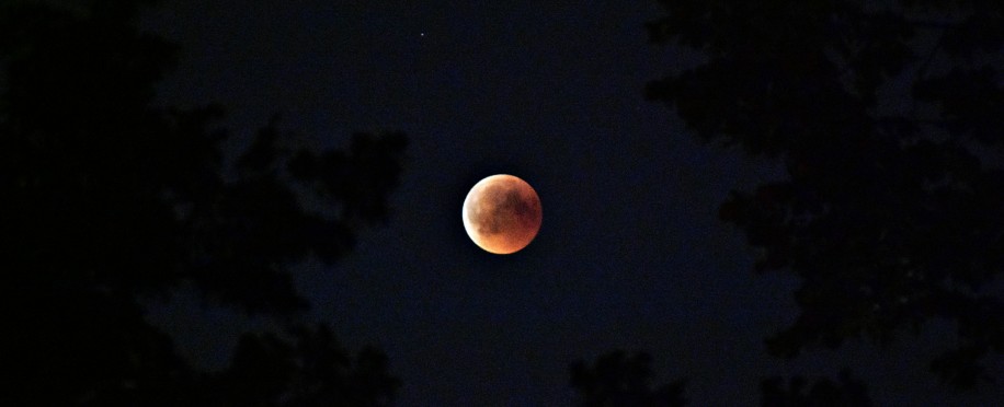 The Blood Moon Enthrals Sky Watchers Worldwide