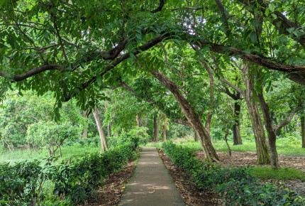 With LPC Training, Every Trainee Becomes a Voice for Nature and a Champion for the Forest