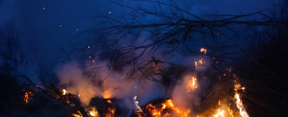 LA Wildfires: Winds Threaten Further Devastation as the Death Toll Reaches 24