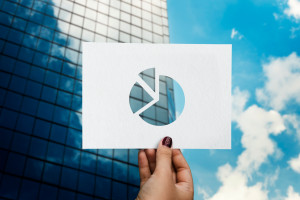 Financial Ratio Analysis 