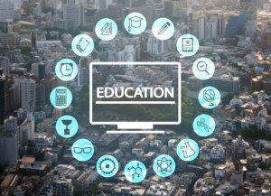 Global Learning Horizons: Exploring LPC Training in 8 Dynamic Cities