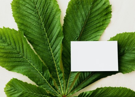 Environment Management Courses in London