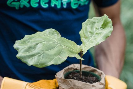 UN and WMO Sound Climate Alarm