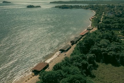 More than 300 Big Agricultural Lobbyists Took Part in Cop30, an Analysis Found