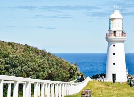 Ship Chartering courses in UK