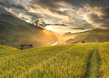 agriculture short courses