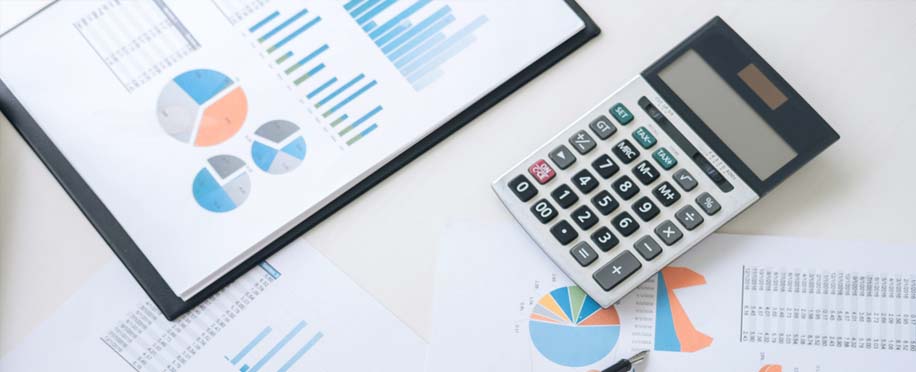 Accounting Professional