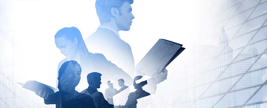 Accounting Professional