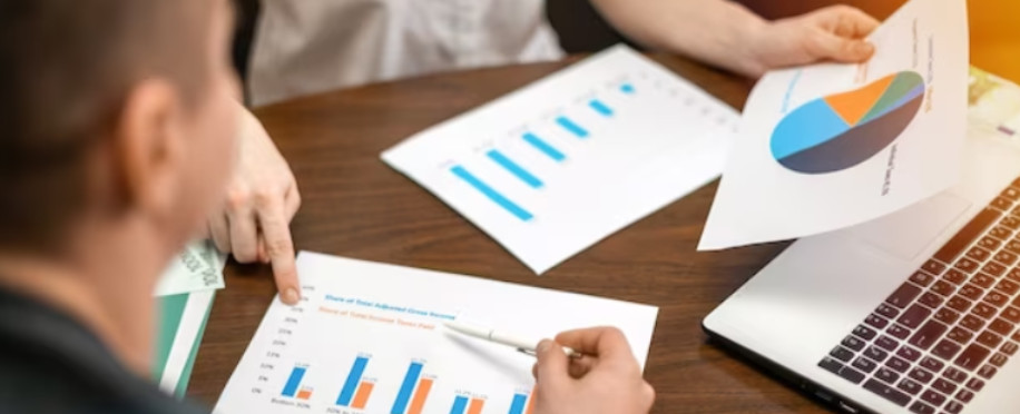 Accounting Professional