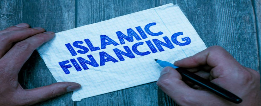 Accounting Professional