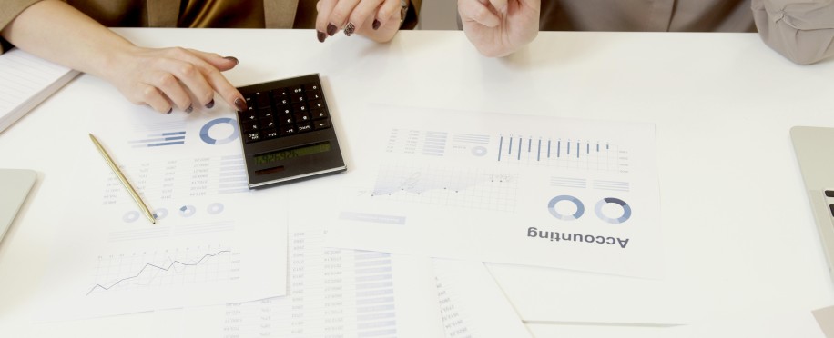 Accounting Professional