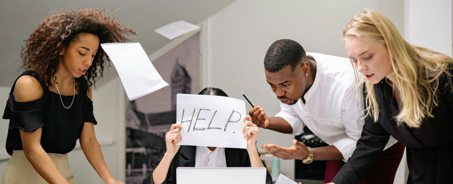Accounting Professional